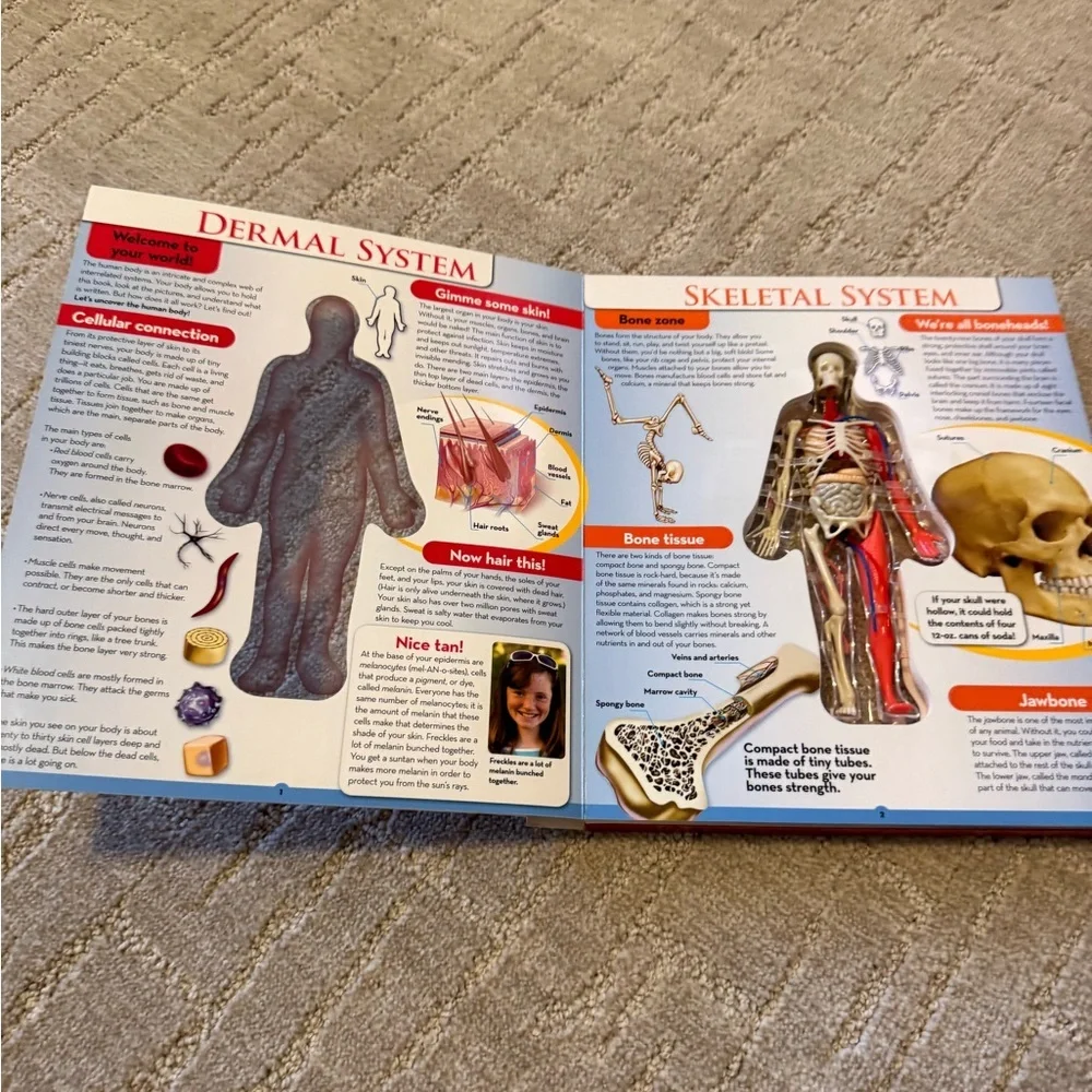 Uncover the‎ Human Body Book